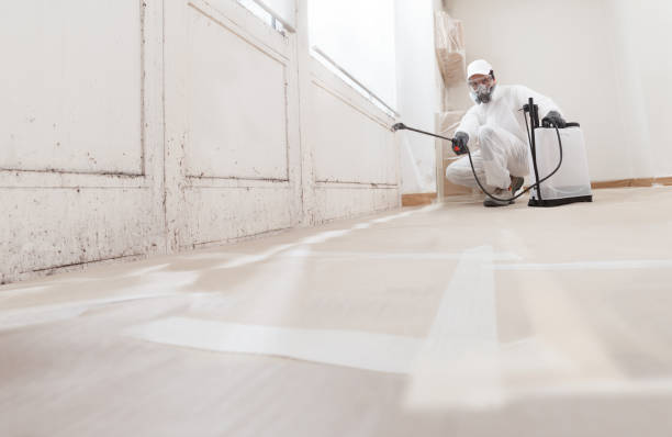 24/7 Emergency Attic Mold Remediation experts in Medina, WA